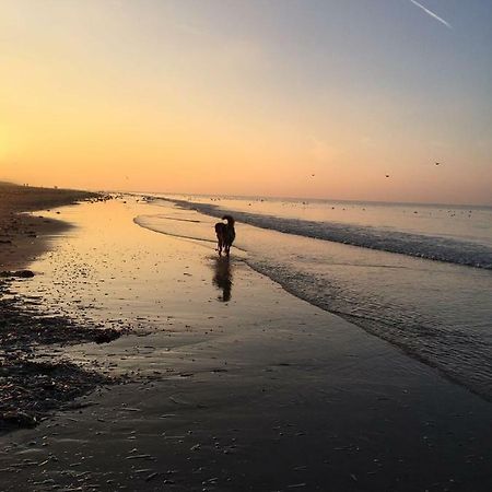Au Gre Du Vent Apartment Koksijde Bagian luar foto